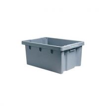 Martini Alfredo - Contenitore Multiuso In Polipropilene Tau 40