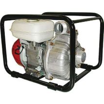 Tsurumi - Motopompa Di Prosciugamento - Acque Poco Contaminate - Tet2 50ha