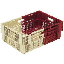 Gilac - Cassetta Bicolore Per Catena Del Freddo 35 L - Bordeau/avorio