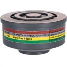 Lotto di 8 Filtro Gas A1 Con Filettatura Speciale - Portwest