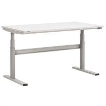 Treston - Banco Da Lavoro Motorizzato Esd M1350