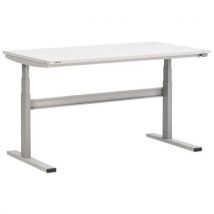 Treston - Banco Da Lavoro Motorizzato Standard M1350