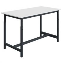 Werkbank PTH 40mm gelamineerd blad verstelbaar d.m.v. rek - SOFAME - Sofame