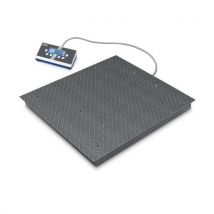 Weegschaal Bic 600k-1s - Bereik 300-600 Kg - 100-200 G, - Kern