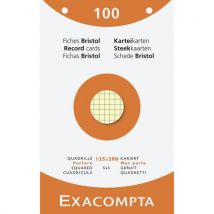 Steekkaart 5x5 Geperforeerd 125x200 Geassorteerd Pak 100, - Exacompta