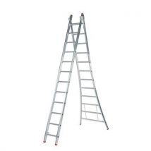 Ladder - 2x12 Treeds. Multifunctioneel, - Solide