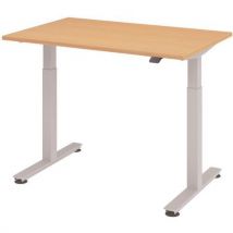 Recht Elektrisch Bureau 120 X 80 Cm Beuken, - Hammerbacher