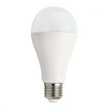 Ledlamp SMD A65 20 W fitting E27 - VELAMP - Brand