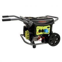 Benzinegenerator WX6200 eenfasig AVR elektrisch CONN - Pramac - Pramac