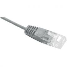 Patchkabel RJ45/RJ45