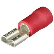 Vlakke steekhulzen geïsoleerd _ 97 99 001 KNIPEX - Knipex