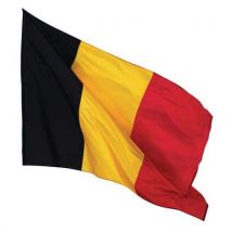 Vlag 150 x 225 cm - Brand