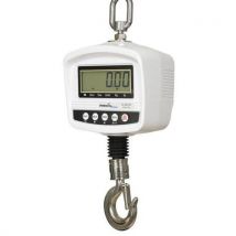 Weeghaak Access DR 30 tot 150 kg - Precia Access
