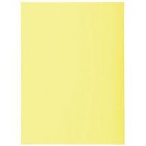 Pakket Van 100 Binnenmappen Super 60 - 22x31 Cm Kanarie, - Exacompta