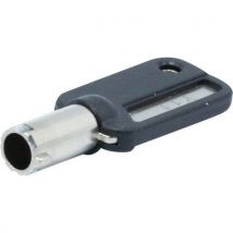 Dacomex - Universele Pass Master Key met Sleutel - Serie 915063 - DAC-915062