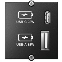 USB-A en -C lader module - Bachmann - Brand