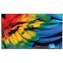 Philips - Professionele TV MediaSuite - 43 inch 4K UHD - Android - 400 cd/m²