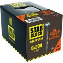 Tellerkopschroef met ronde kop Torx - Doos van 50 - Starblock - Starblock