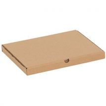 Verzenddoos 305x220x25 Extra Plat,