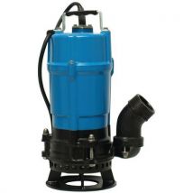 Uitlaatpomp+roermechanisme Van Verchroomd Gietijzer Hsd2-55s, - Tsurumi