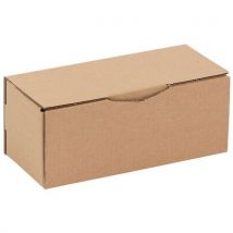 Verzenddoos Kraft 250x100x100 Mm,