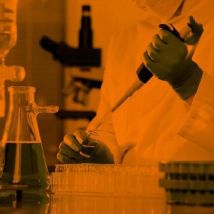 Folie - Uv-beschermend - oranje - voor lab - Luminis - Luminis Films