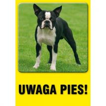 Uwaga pies! 21 X 29,7 nieświec. płyta sztywna PCV, Manutan
