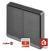 Emos Przenośny kontroler scen GoSmart IP-2002ZB, ZigBee 3.0, 2-przyciskowy Manutan