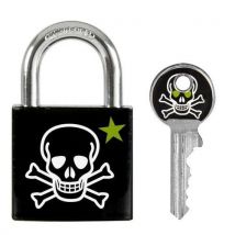Kłódka Master Lock wykonana z litego aluminium o grubości 30 mm, Manutan