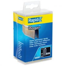 Rapid - Caixa com 3600 agrafos de 606/25 mm galvanizados,