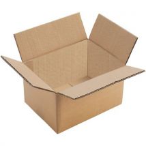Caixa de Cartão Canelado Duplo 200x140x140mm - 3.9L - Reciclável e Ecológica - Manutan Expert