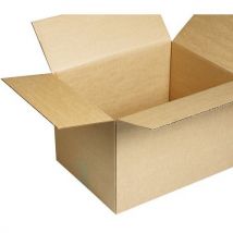 Caixa em Cartão Reciclado Canelado Simples - 9.36L - 266x206x186mm - Ecológica - Manutan Expert
