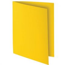 100 Unidades de Pacote de 100 pastas interiores Rock"s 80 - 22x31 cm - Exacompta