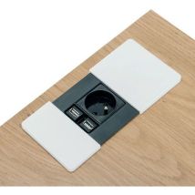 Obturador de Alimentação Tower 1 Tomada 220V + 2 USB Branco - Montagem Fácil - Eco-Responsável - Simmob