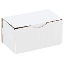 Carga Leve Volume Pequeno - Caixa de Expedição Kraft 200x100x100mm - Cartão Reciclado 100%