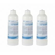 BWT Water & more - BWT Bestmax XL Water Softener Filter Cartridge - Pack of 3