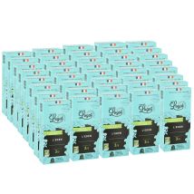 Lugat - 400 capsules compatibles Nespresso* Original L'Eden bio pour professionnels - CAFÉS LUGAT - Ethiopie