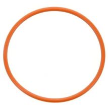 Lelit MC195 Silicone O-ring Gasket for Shower Screen Holder
