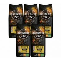Café en grains 100% Arabica Moka Bio Ethiopie - 5x1kg - Destination - Ethiopie