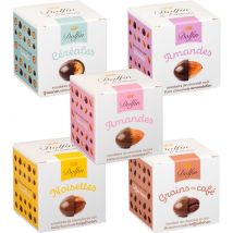 Dolfin - Pack découverte 5 mini boîtes de chocolats DOLFIN