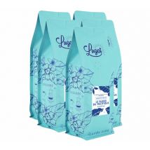 Cafés Lugat. - 5 Kg Café en grain pour professionnels Le Blend du Pacifique - Lugat - Nicaragua