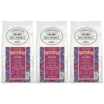 Caffè Corsini - 3 x250 g - Café en grain - Costa Rica - CORSINI - Costa Rica