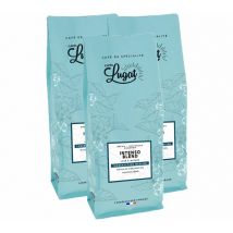 Cafés Lugat - 3 kg - Café en grain pour professionnels Intenso Blend (anciennement nommé Blend Italien) - Cafés Lugat