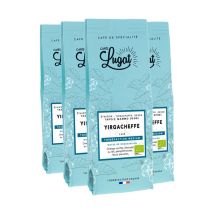 1kg - Café en grain Bio pour professionnels Ethiopie Yirgacheffe - Cafés Lugat - Ethiopie