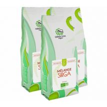3kg café en grain pour professionnels Bio Le Mélange Sirga 100% Arabica - Green Lion Coffee - Mexique