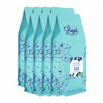 8 kg - Café en grain Bio pour professionnels Oasis Blend (anciennement Finca Oasis) - Cafés Lugat - Brésil