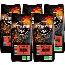 Café en grains bio 100% Arabica Mexique Chiapas - 5x1kg - Destination - Mexique