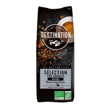 Destination Organic Coffee Beans Sélection Pur Arabica - 250g - Big Brand Coffees