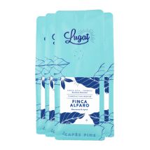 Lugat - 4 x 250 g - Café en grain - Costa Rica Finca Alfaro - LUGAT