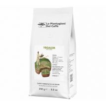 Le Piantagioni Del Caffè - 250 g - Café en grain - Yrgalem Ethiopie - LE PIANTAGIONI DEL CAFFÈ - Ethiopie